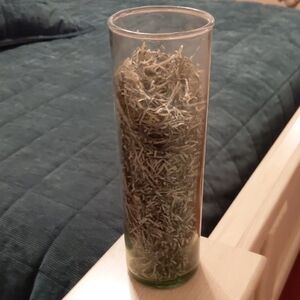 Decorative Glass Vase with Shredded Money
